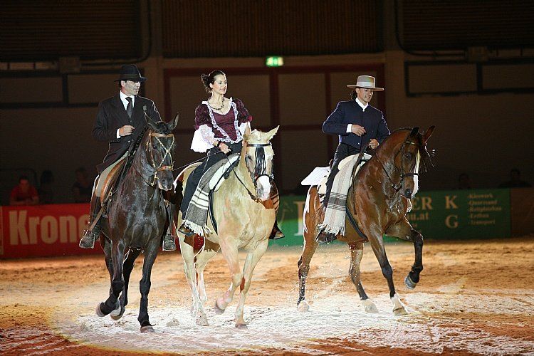qumessewelsnachtderpferde2011spanischeromanzemihaimaldearolfjanzencorinna_big.jpg