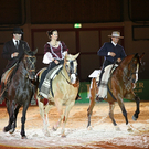 qumessewelsnachtderpferde2011spanischeromanzemihaimaldearolfjanzencorinna_big.jpg
