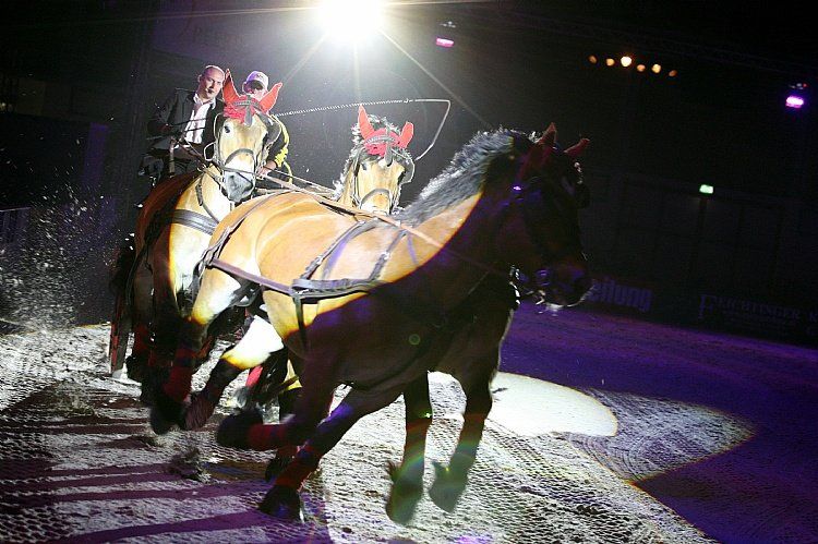 qumessewelsnachtderpferde2011titanenderrennbahn2_big.jpg