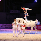 qumessewelsnachtderpferde2011voltigiergruppeclub432_big.jpg