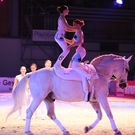 qumessewelsnachtderpferde2011voltigiergruppeclub43_big.jpg