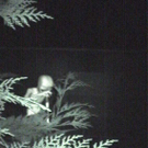 nightvisitors5.jpg