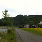 IMG_0555_JPG-1305634761