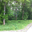 IMG_0556_JPG-1305634765