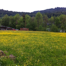 IMG_0557_JPG-1305634768