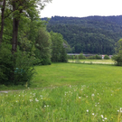 IMG_0558_JPG-1305634770