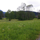 IMG_0559_JPG-1305634772
