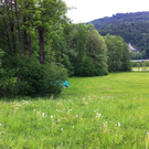 IMG_0560_JPG-1305634777
