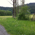 IMG_0561_JPG-1305634780