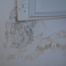 Haus3.jpg