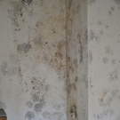 Haus18.jpg