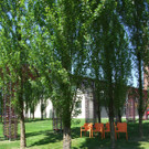 stuhl2_jpg-1305644946