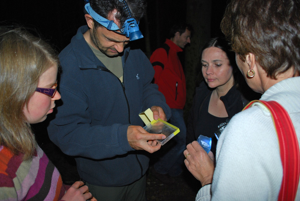 natuRankweil-nachtfalterexkursion-03_JPG-1305724621