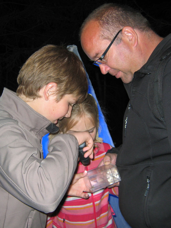 natuRankweil-nachtfalterexkursion-04_JPG-1305725340