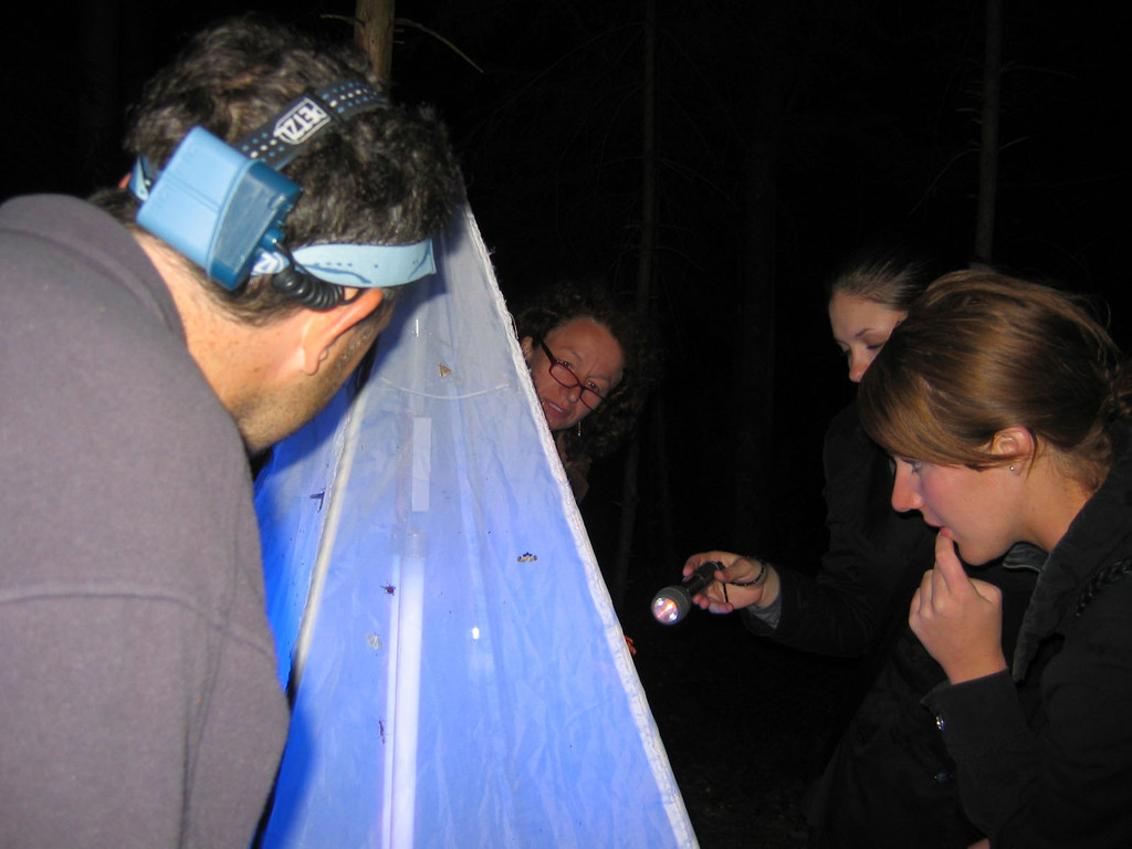 natuRankweil-nachtfalterexkursion-05_JPG-1305725342