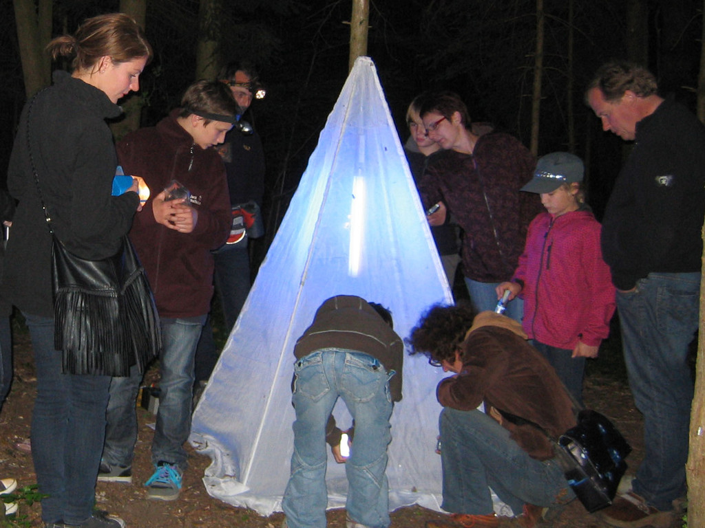 natuRankweil-nachtfalterexkursion-06_JPG-1305725343