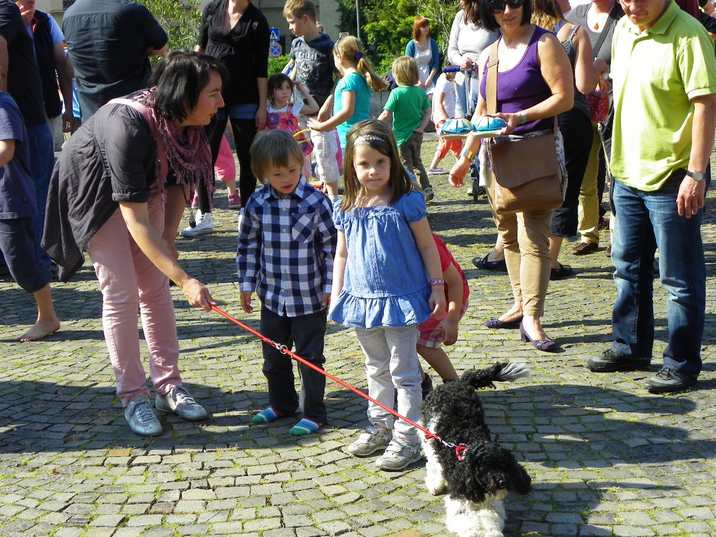 110_8077_JPG-1305756402