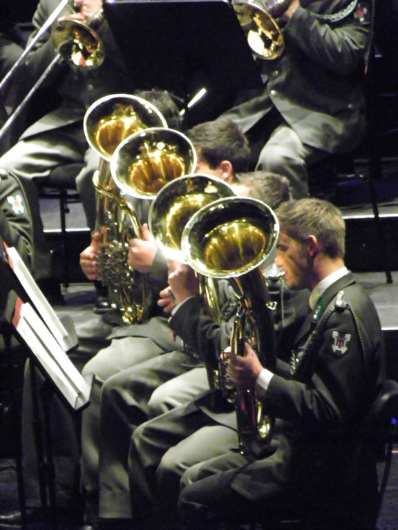 110_8176_JPG-1305761419