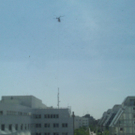 WP_000039.jpg