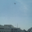 WP_000040.jpg