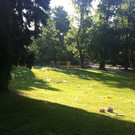 IMG_2264.jpg