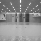 Halle neue sw.jpg