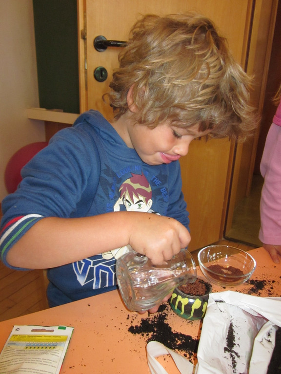IMG_1239_JPG-1305836861