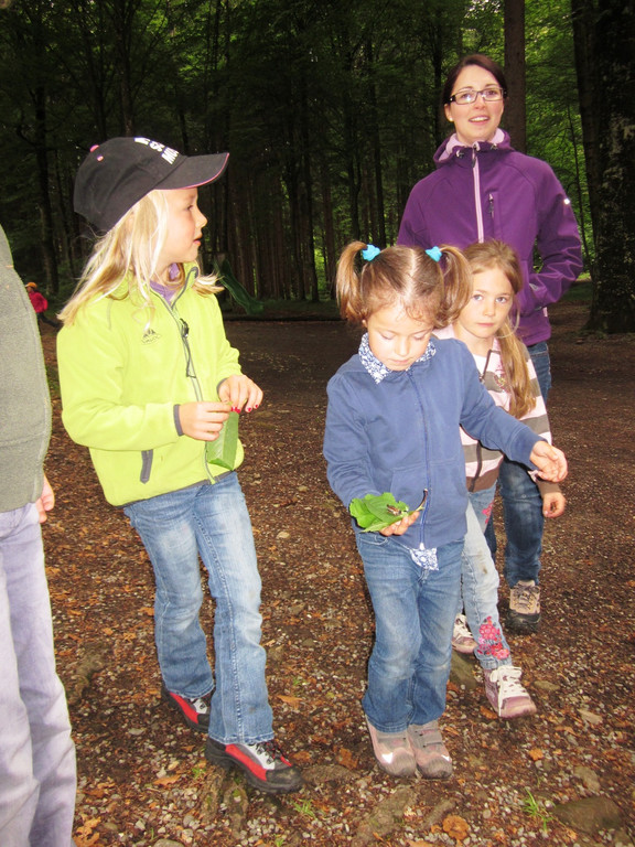 IMG_1268_JPG-1305837044