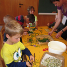 IMG_1301_JPG-1305837125