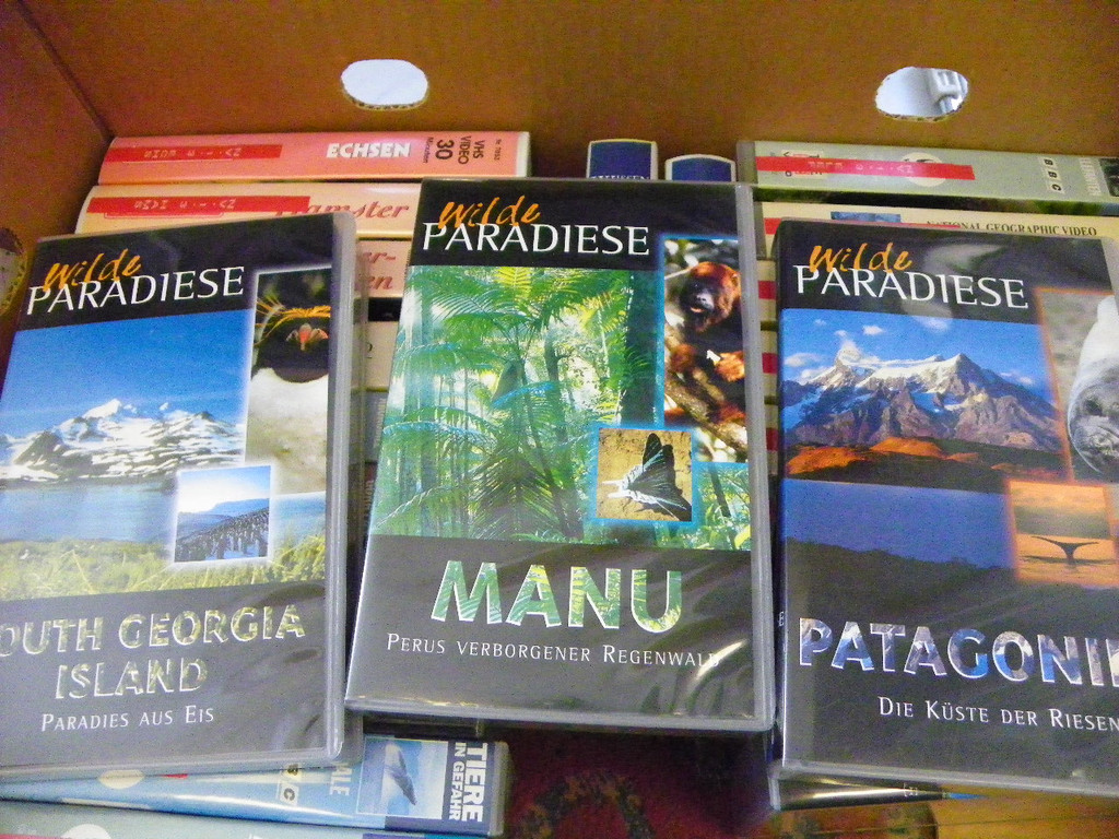 101_6745_jpg-1305847971