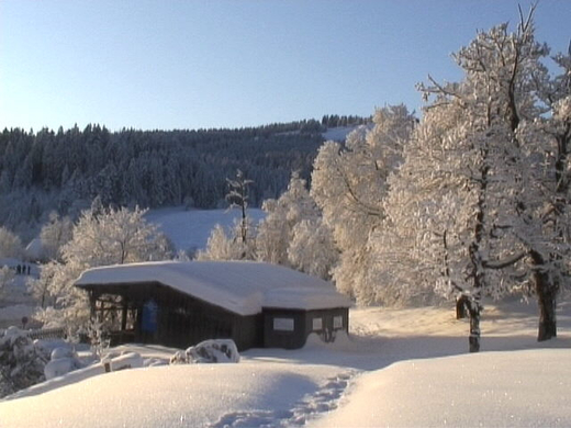 DSC00910.JPG