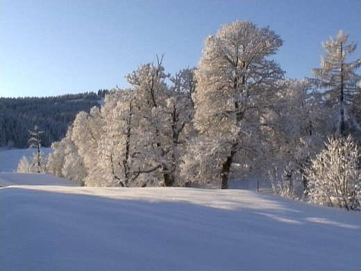 DSC00915.JPG