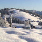 DSC00925.JPG