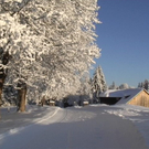 DSC00928.JPG
