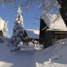 DSC00931.JPG