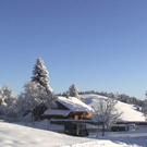 DSC00942.JPG