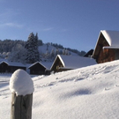 DSC00958.JPG