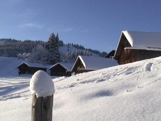 DSC00958.JPG