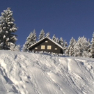 DSC00959.JPG