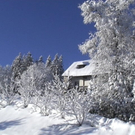 DSC00960.JPG