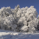 DSC00966.JPG