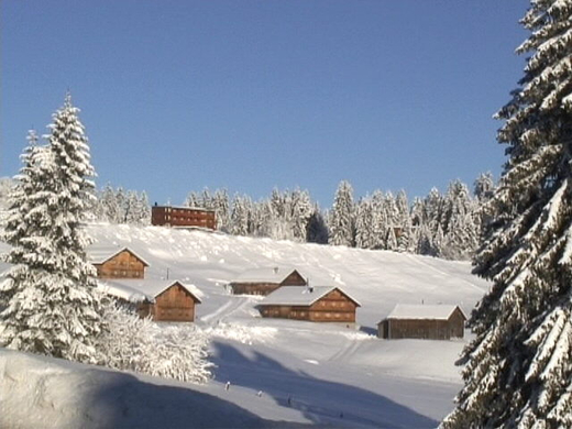 DSC00972.JPG