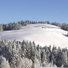 DSC00973.JPG