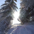 DSC00974.JPG