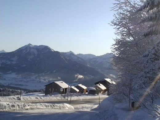 DSC00975.JPG
