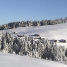DSC00979.JPG