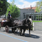 IMG_8110_JPG-1305901199
