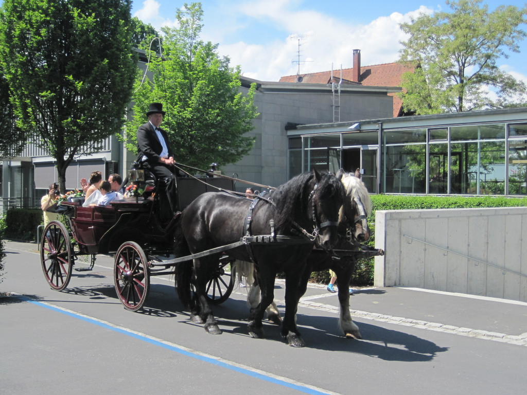 IMG_8110_JPG-1305901199