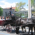IMG_8111_JPG-1305901245
