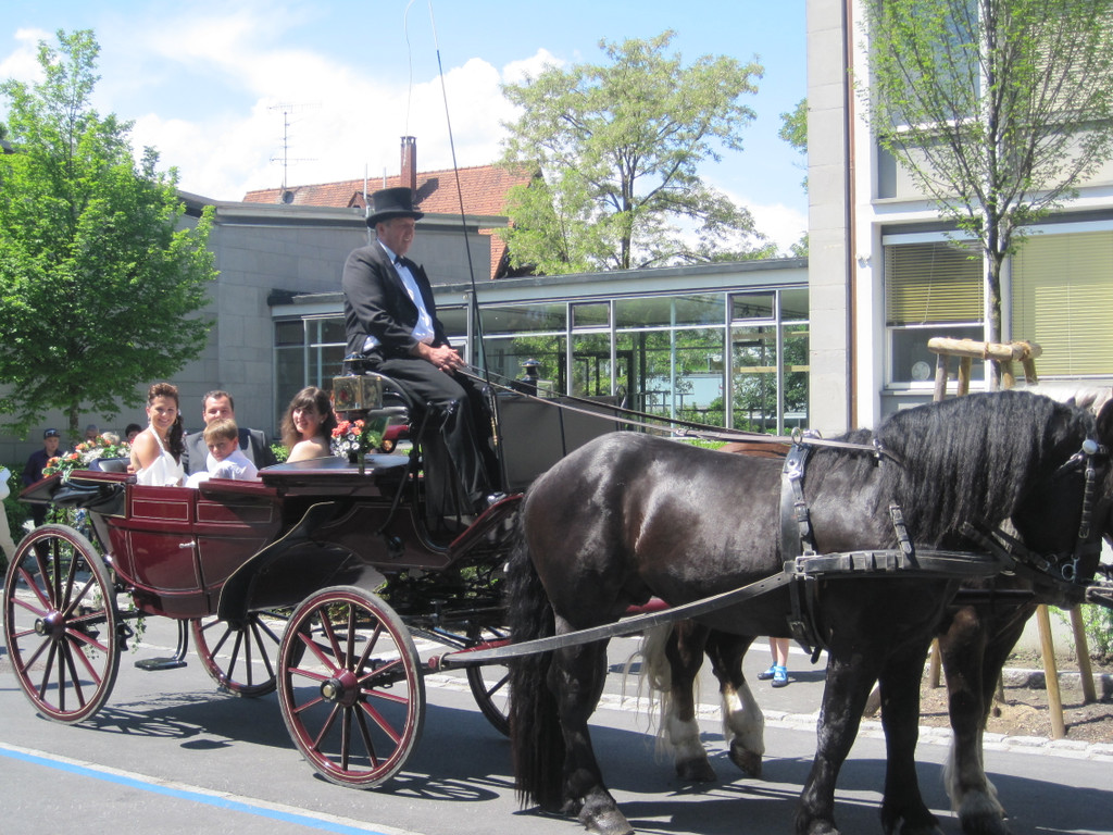 IMG_8111_JPG-1305901245